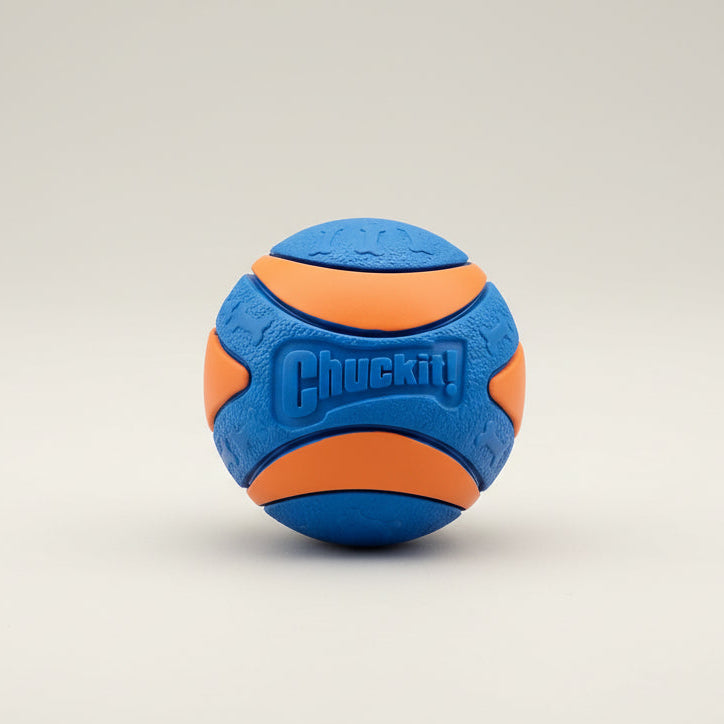 Bola de brinquedo para cães ao ar livre não tóxica