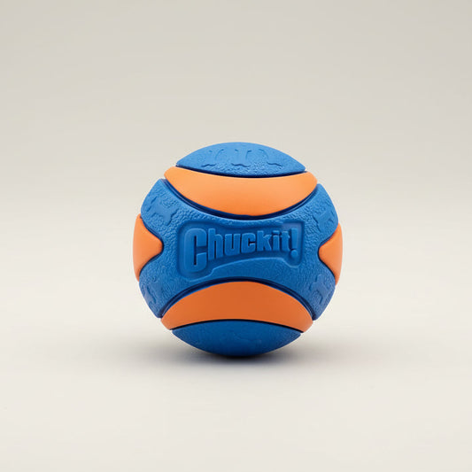 Bola de brinquedo para cães ao ar livre não tóxica