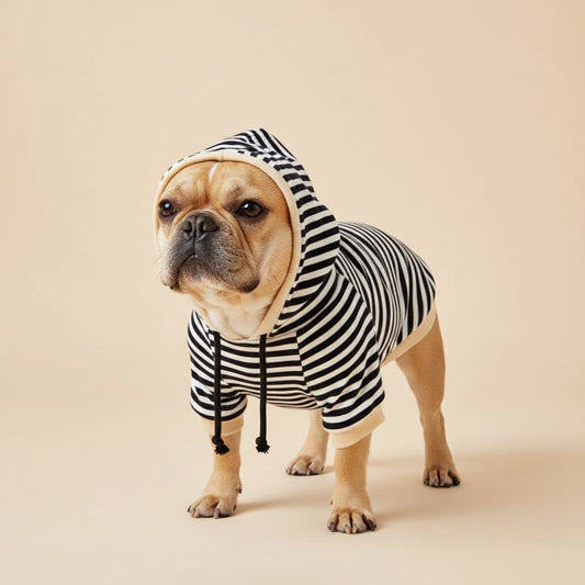Sweatshirt SnuggleStripe para Cães