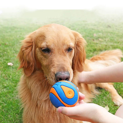 Non - toxic Outdoor Play Dog Ball - The Fur Pal Dog quality premiumdogsupplies