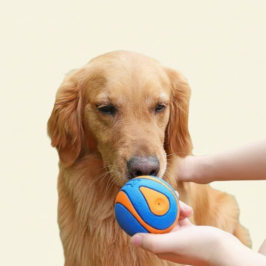 Non - toxic Outdoor Play Dog Ball - The Fur Pal Dog quality premiumdogsupplies