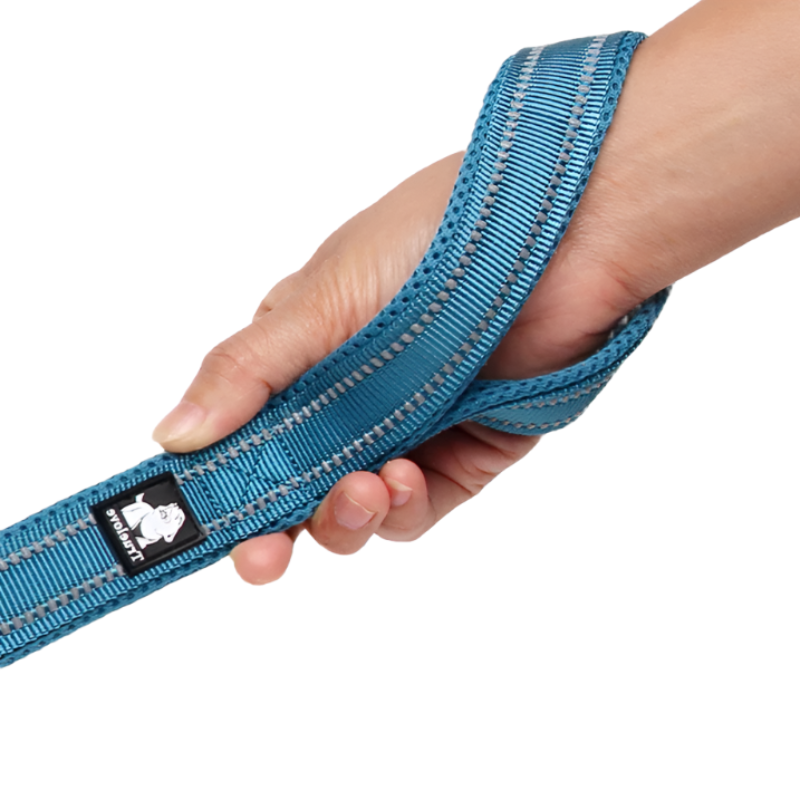 Blue dog leash with soft handle held by a hand on a white background