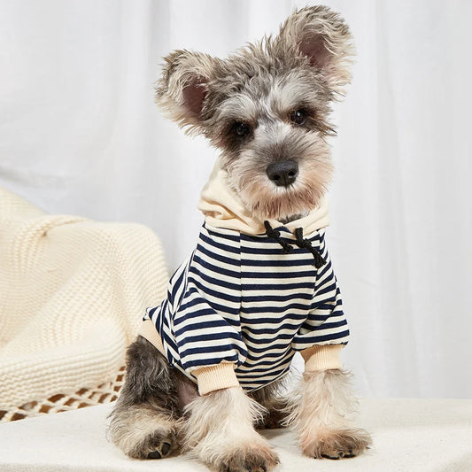 Moletom com capuz SnuggleStripe para cães – suéter listrado macio para cães de pequeno e médio porte