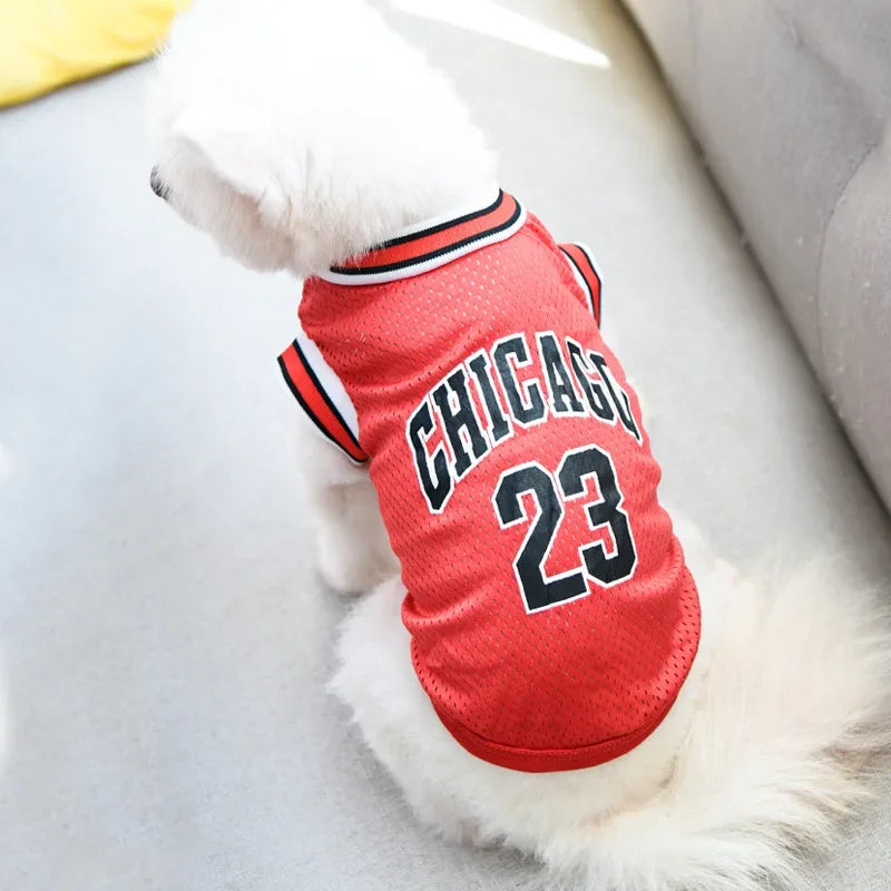 Camisa Pawtastic Sport Mesh – Edição de Verão para Animais de Estimação