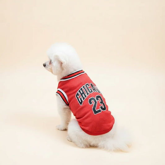 Dog wearing a red 'Chicago' jersey with the number 23 on a light background