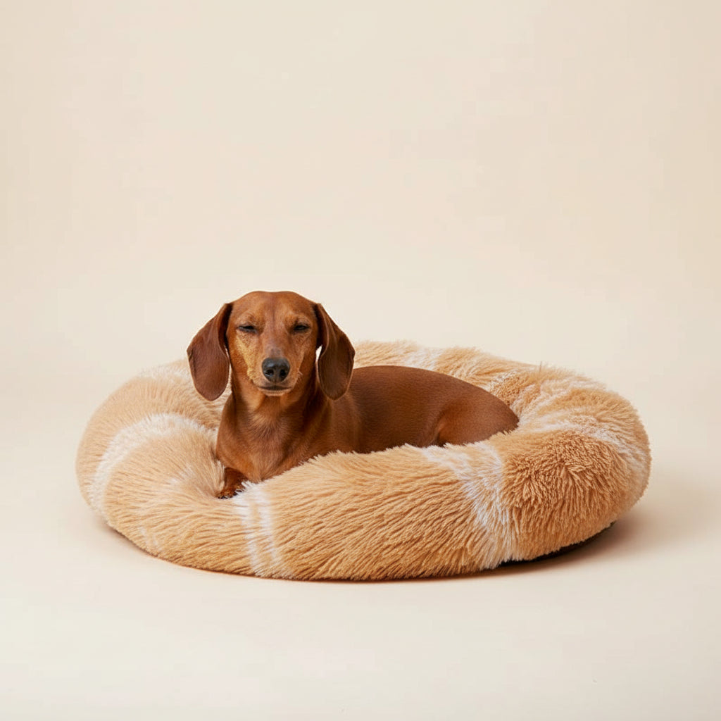 Curtido: Donut Plush Dog Bed