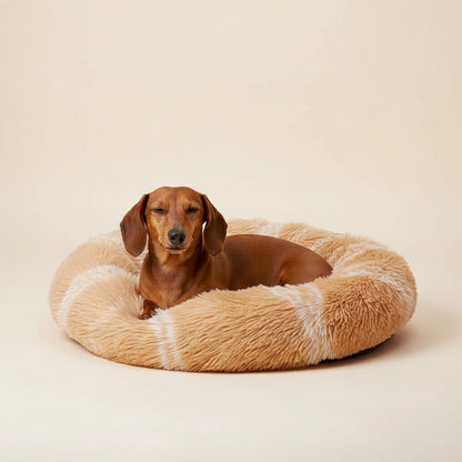 Curtido: Donut Plush Dog Bed