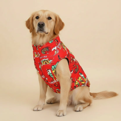 Dragão Rei Vermelho