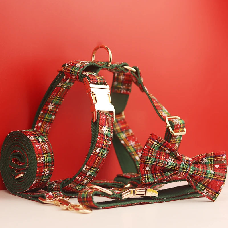 Passeio de Floco de Neve