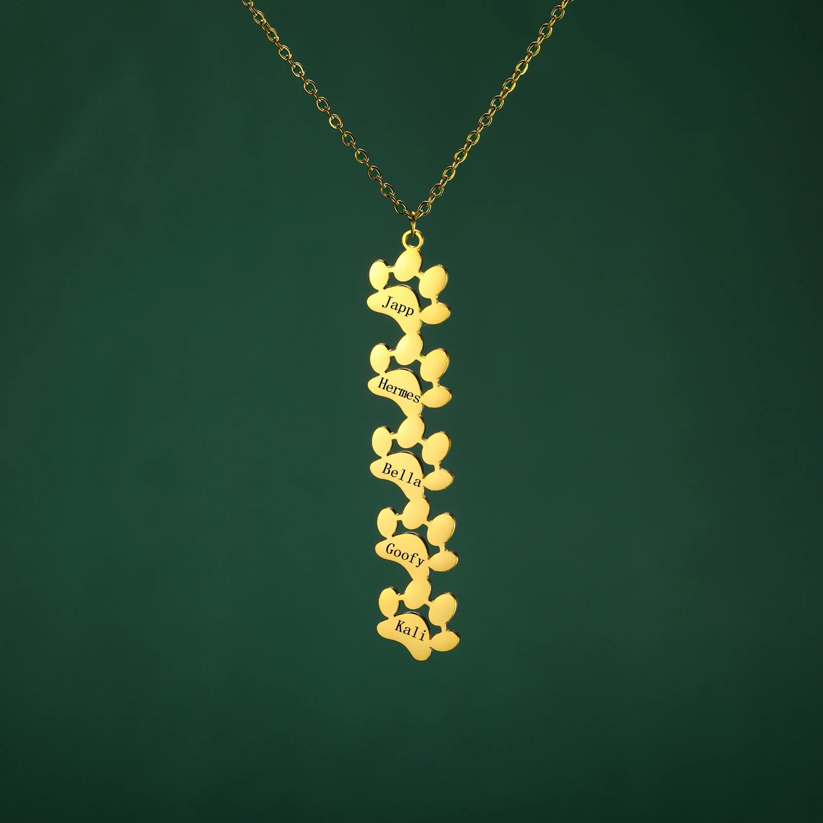 custom engraved necklace with dog paws to customize with your dog name 5 gold paws