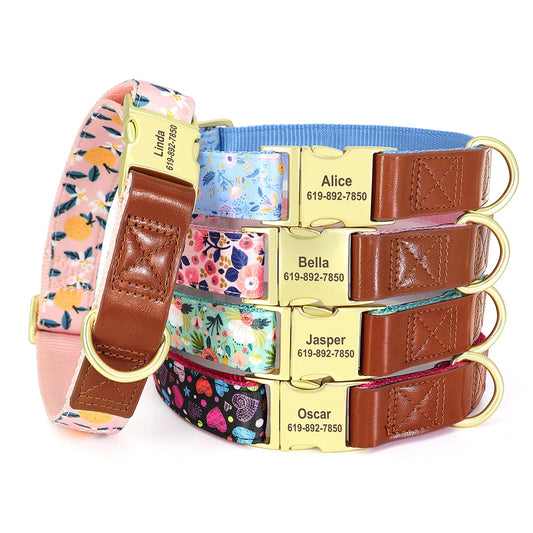 Set of colorful dog collars with nameplates on a white background