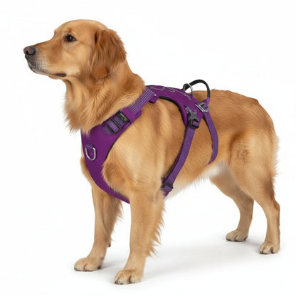 Roxo: À prova de fugas