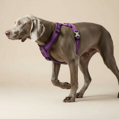 Roxo: Arnês Aventura