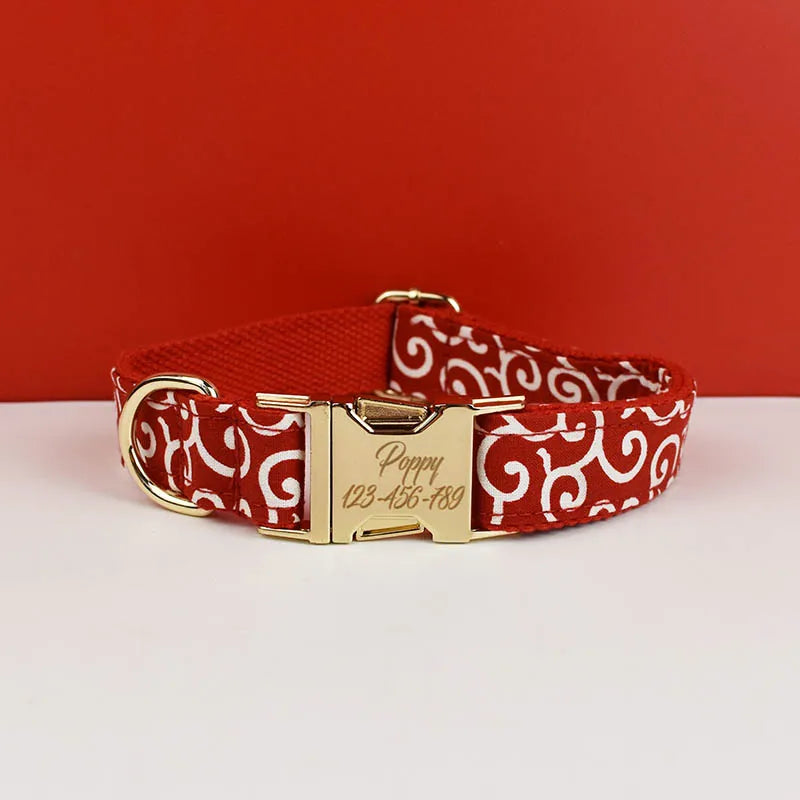 Cria Maravilha de Inverno