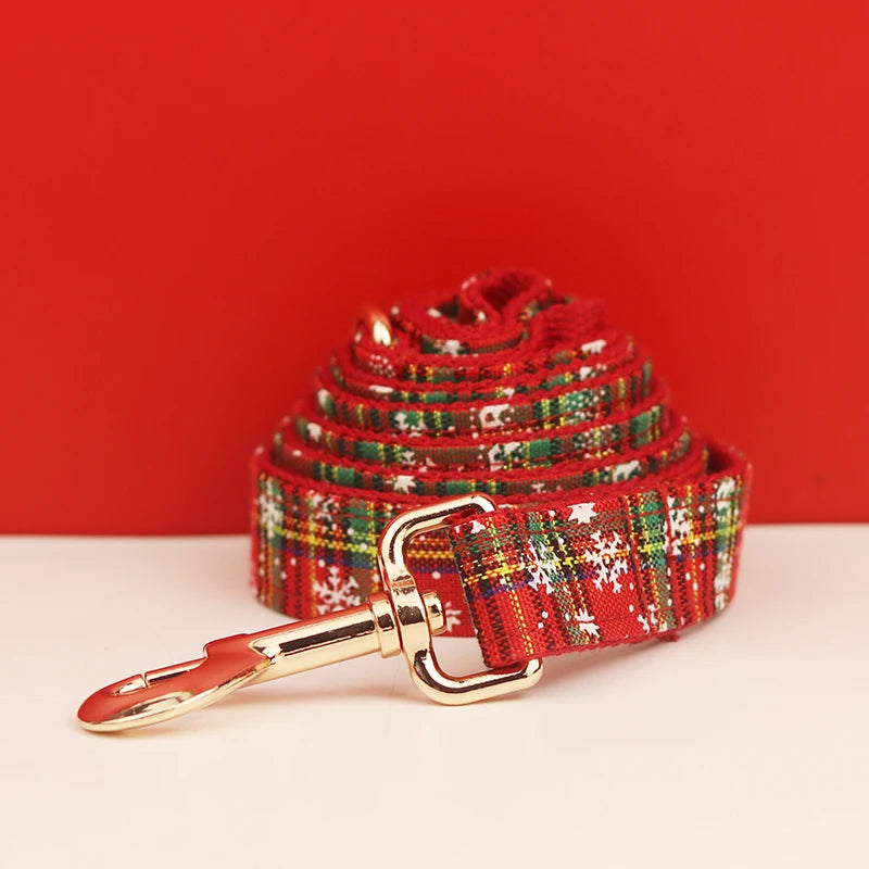 Feliz Natal para o Cão