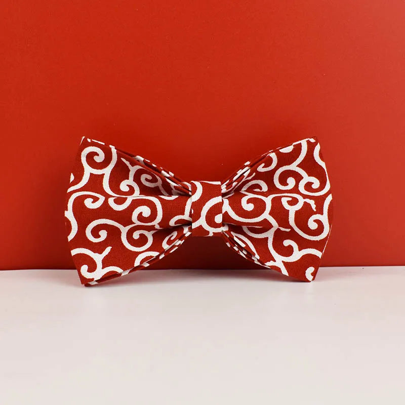 Cria Maravilha de Inverno