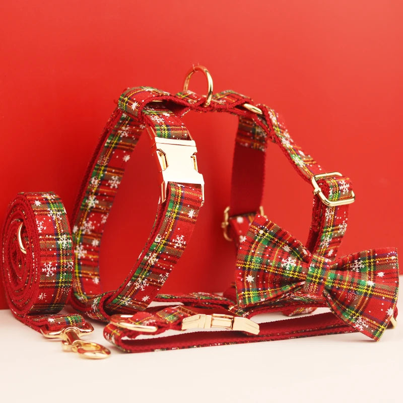 Feliz Natal para o Cão