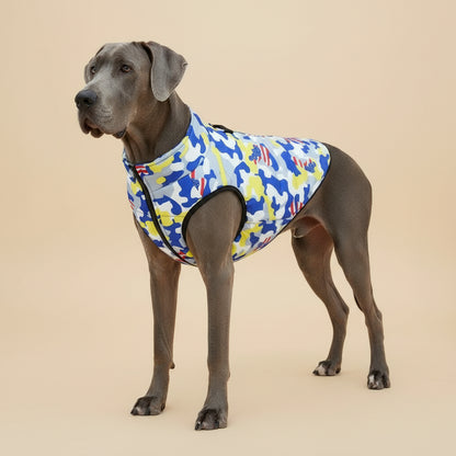 Camuflagem azul e amarela