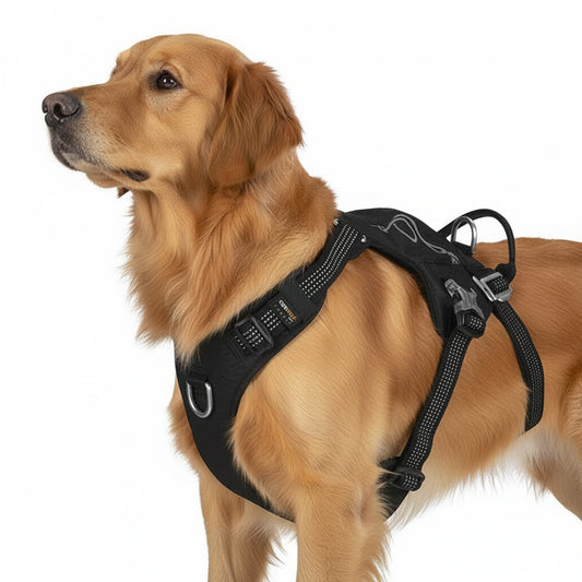 Preto: À prova de fugas