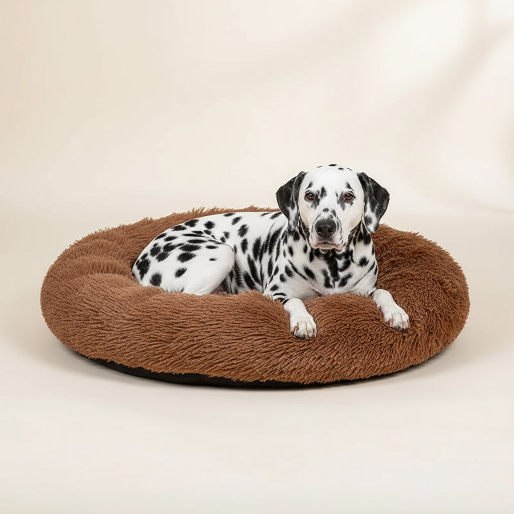 Chocolate: Donut Plush Dog Bed
