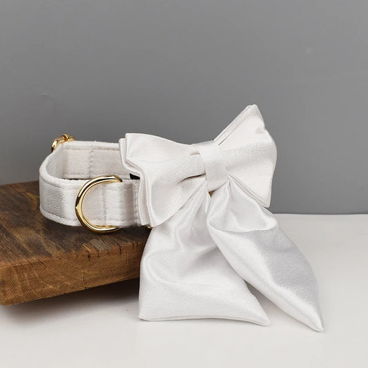 Conjunto elegante de collar, correa, arnés y lazo para perro, blanco y personalizado