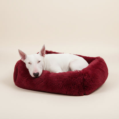 Vinho Tinto: Retângulo 