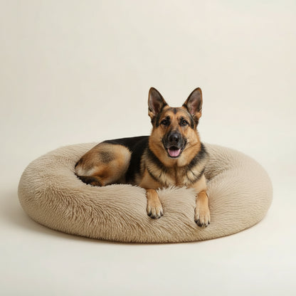 Frappe: Plush Donut Dog Bed