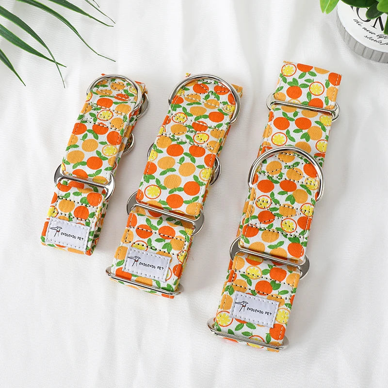 Showcase your dog's elegance with the Italian Motif Dog Collar. Crafted for Italian Greyhounds and Whippets, this premium cotton collar blends comfort and sophistication.  citrus variant.