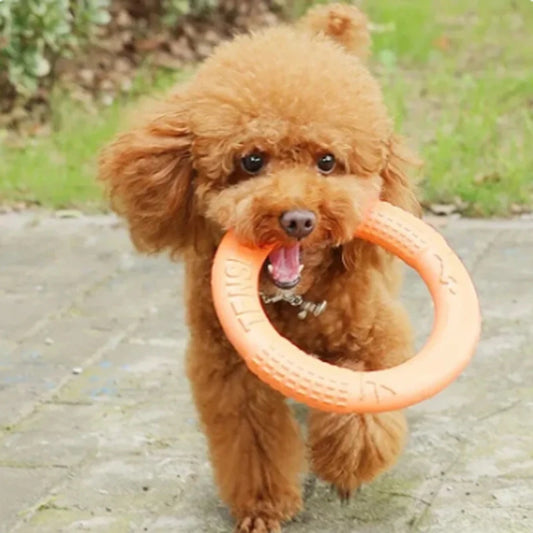 Canine Flight Disc™ - Anel de treinamento interativo para cães 