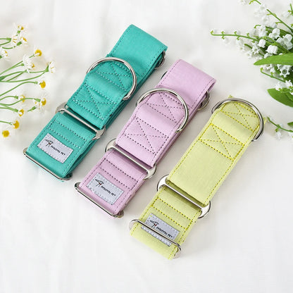 Showcase your dog's elegance with the Italian Motif Dog Collar. Crafted for Italian Greyhounds and Whippets, this premium cotton collar blends comfort and sophistication.  Let me know if you’d like help with more product content! green 8