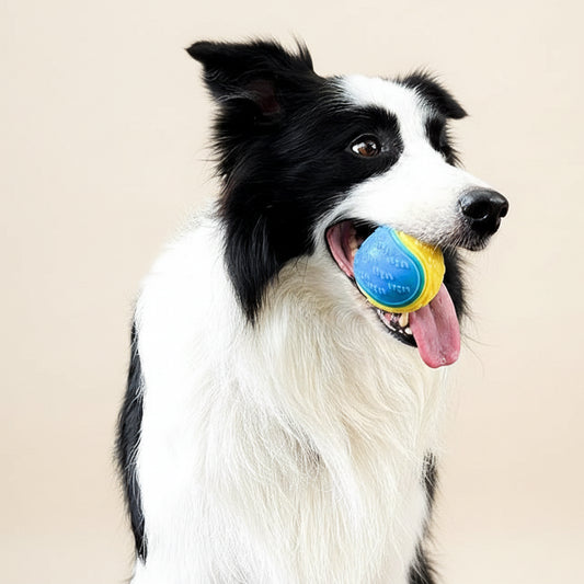 Interactive Squeak & Clean Ball for Dogs - The Fur Pal Dog quality premiumdogsupplies