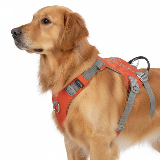 Laranjada: À prova de fugas