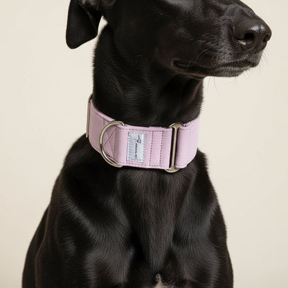 Gola Martingale Whippet Chic de Algodão - Roxo