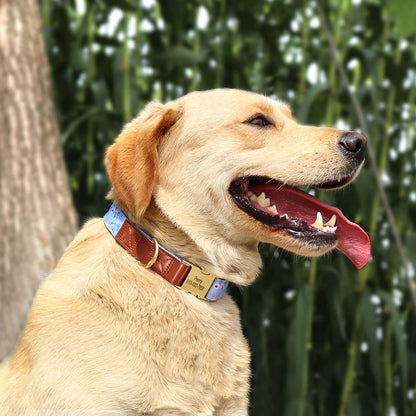 Dog with a collar in front of green foliage