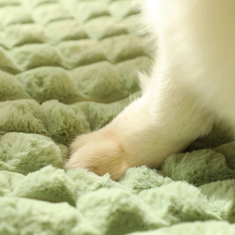 MADDEN Winter Warm Dog Mat - Luxury Fluffy Sofa Bed - The Fur Pal Dog quality premiumdogsupplies