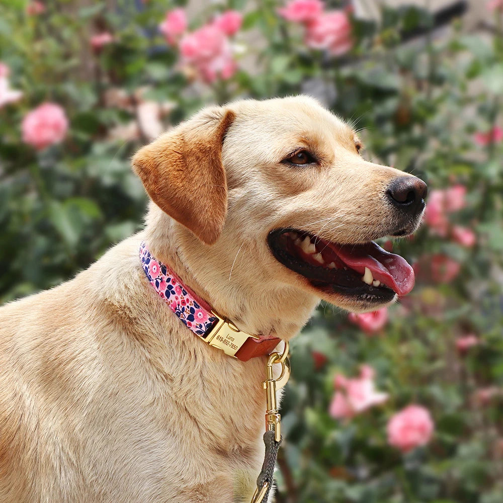 Dog wearing a floral collar with a blurred floral background