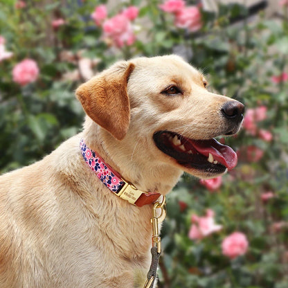 Dog wearing a floral collar with a blurred floral background