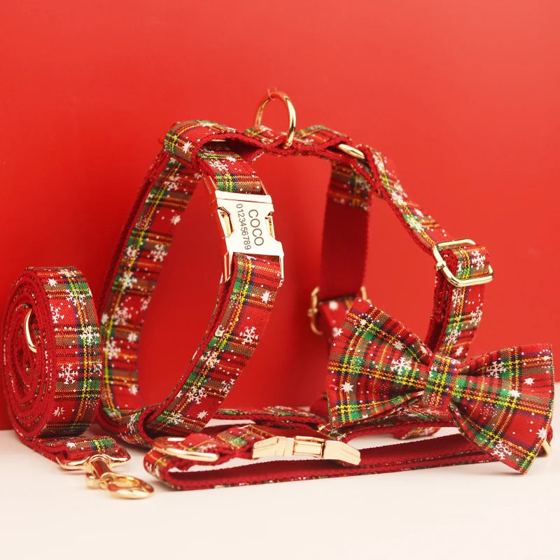 Feliz Natal para o Cão