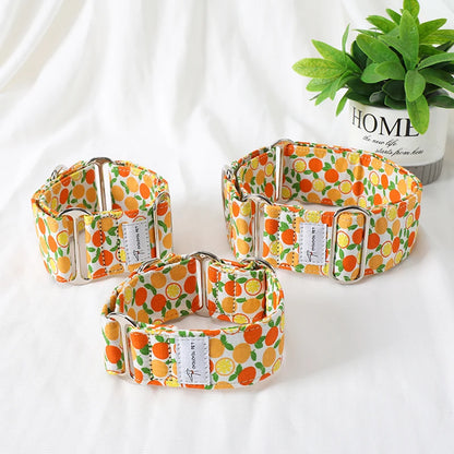 Showcase your dog's elegance with the Italian Motif Dog Collar. Crafted for Italian Greyhounds and Whippets, this premium cotton collar blends comfort and sophistication.  Citrus 1