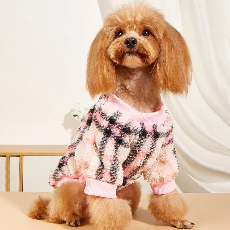Wrap your small dog in style and comfort with our Cozy Chic Woolen Sweater. Perfect for Chihuahuas, Schnauzers, and puppies, this fleece pullover is a must-have for cooler weather walks. Plaid Pink modeled by dog
