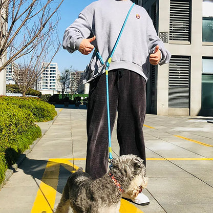 Reflective Nylon Dog Leash for Running and Walking