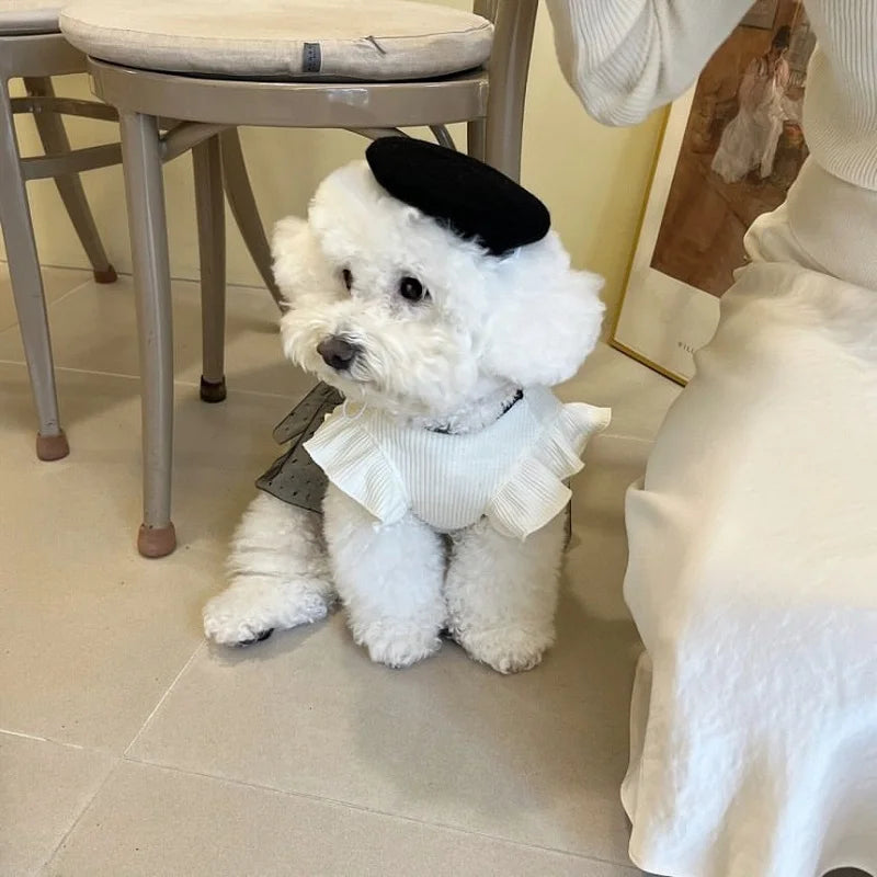 Dress your pup in luxury with the Elegant Bow Lace Dog Dress. Soft lace, a stunning bow, and a comfortable fit make this dress perfect for any stylish occasion. cute elegant dog on dress