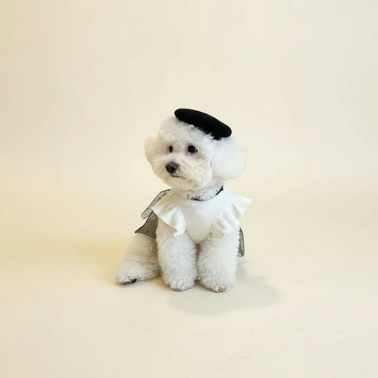 Dress your pup in luxury with the Elegant Bow Lace Dog Dress. Soft lace, a stunning bow, and a comfortable fit make this dress perfect for any stylish occasion. cute elegant dog on dress