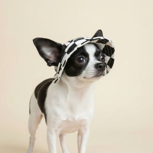 Breathable Cotton Dog Fisherman Hat - Sun Protection for All Sizes - The Fur Pal Dog quality premiumdogsupplies