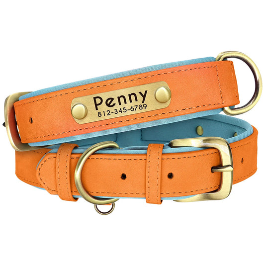 The Daily Strut - Custom Engraved Luxe ID Collar