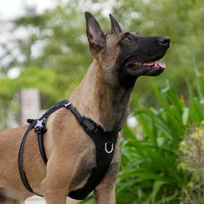 The Fur Pal x TrueLove: Arnés táctico antiescape para perros