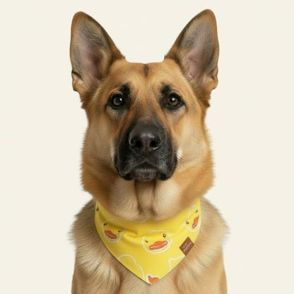 Patinhos ensolarados