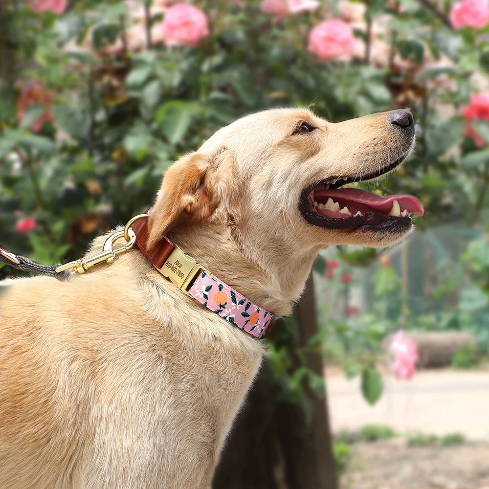 Dog wearing a floral collar with a garden background