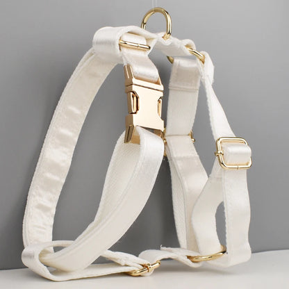 Conjunto de coleira, guia, peitoral e laço brancos personalizados chiques para cães