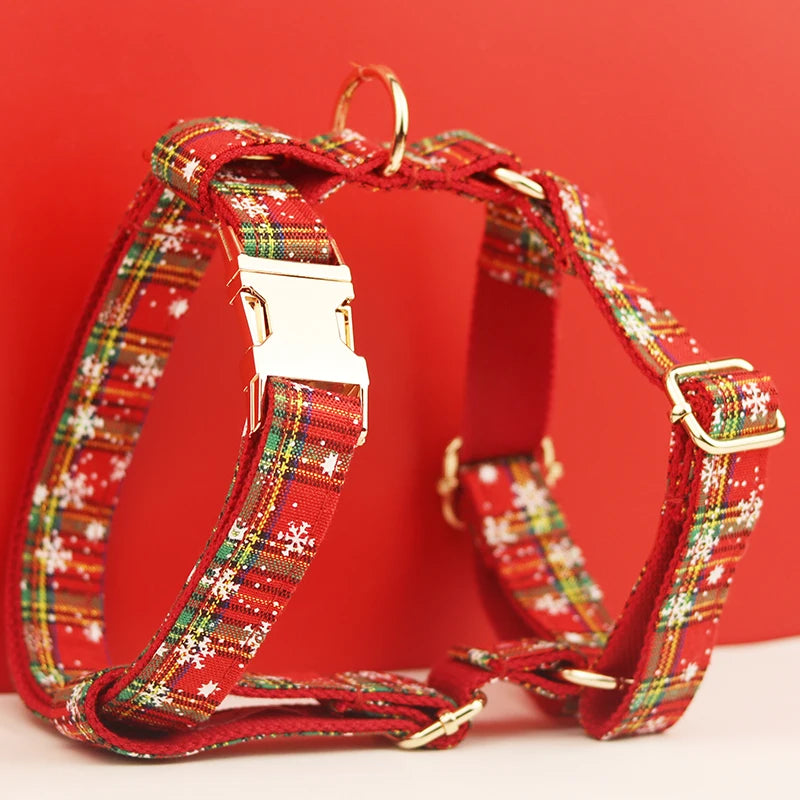 Feliz Natal para o Cão